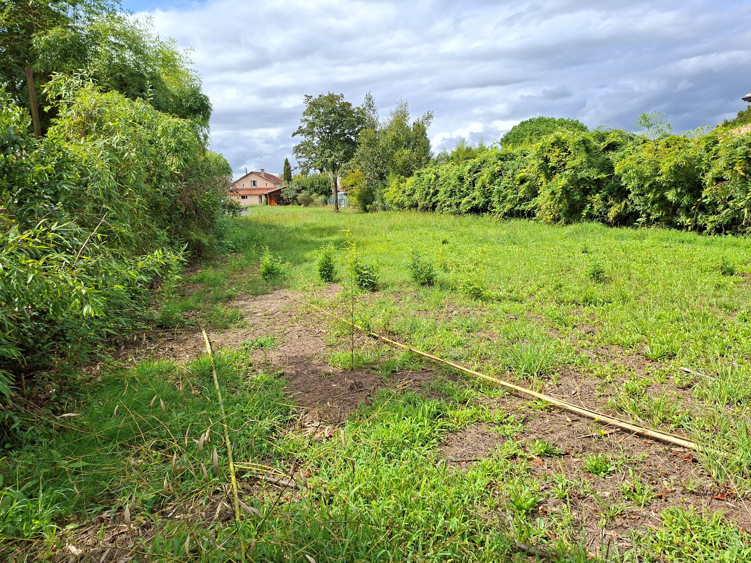 Terrain constructible Dax  (Landes 40)