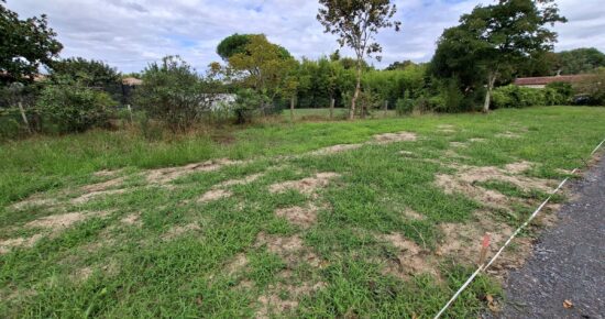 Terrain constructible Dax  (Landes 40)
