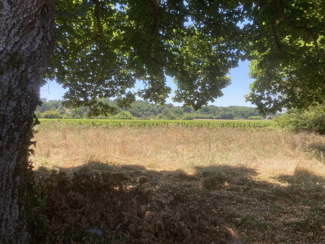Terrain constructible Génissac  (Gironde 33)