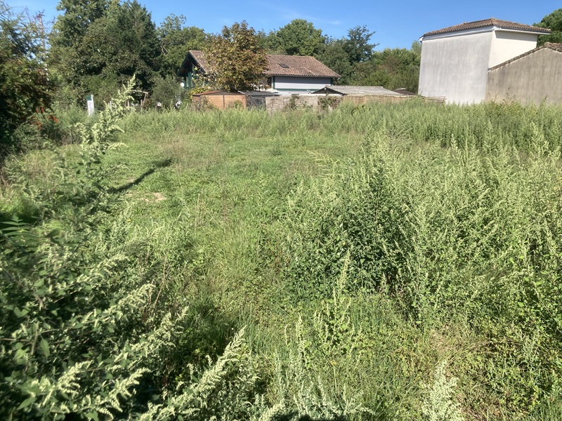 Terrain constructible Libourne  (Gironde 33)