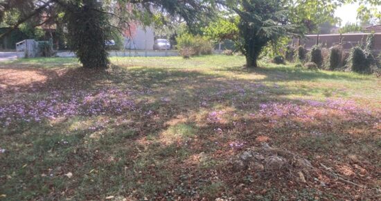 Terrain constructible Vayres  (Gironde 33)