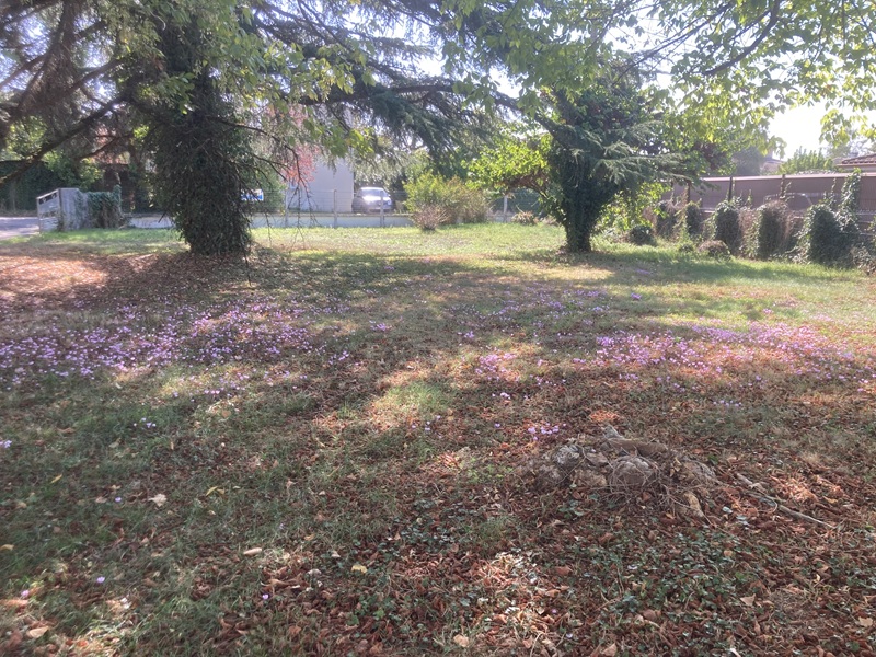 Terrain constructible Vayres  (Gironde 33)