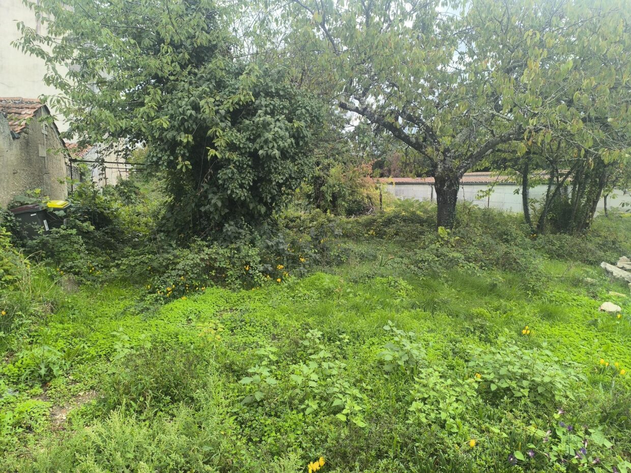 Terrain constructible Cognac  (Charente 16)