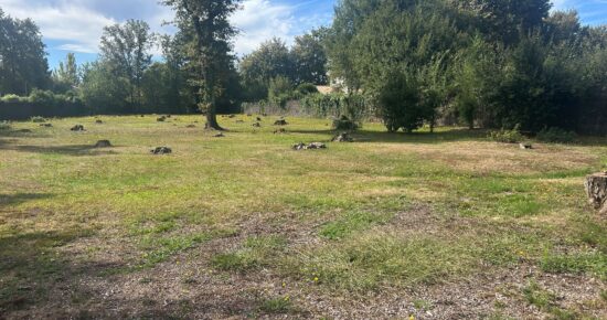 Terrain constructible Martignas-sur-jalle  (Gironde 33)