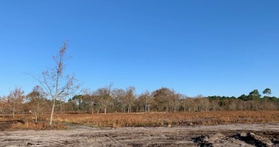 Terrain constructible Biscarrosse  (Landes 40)