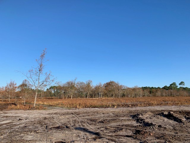 Terrain constructible Biscarrosse  (Landes 40)