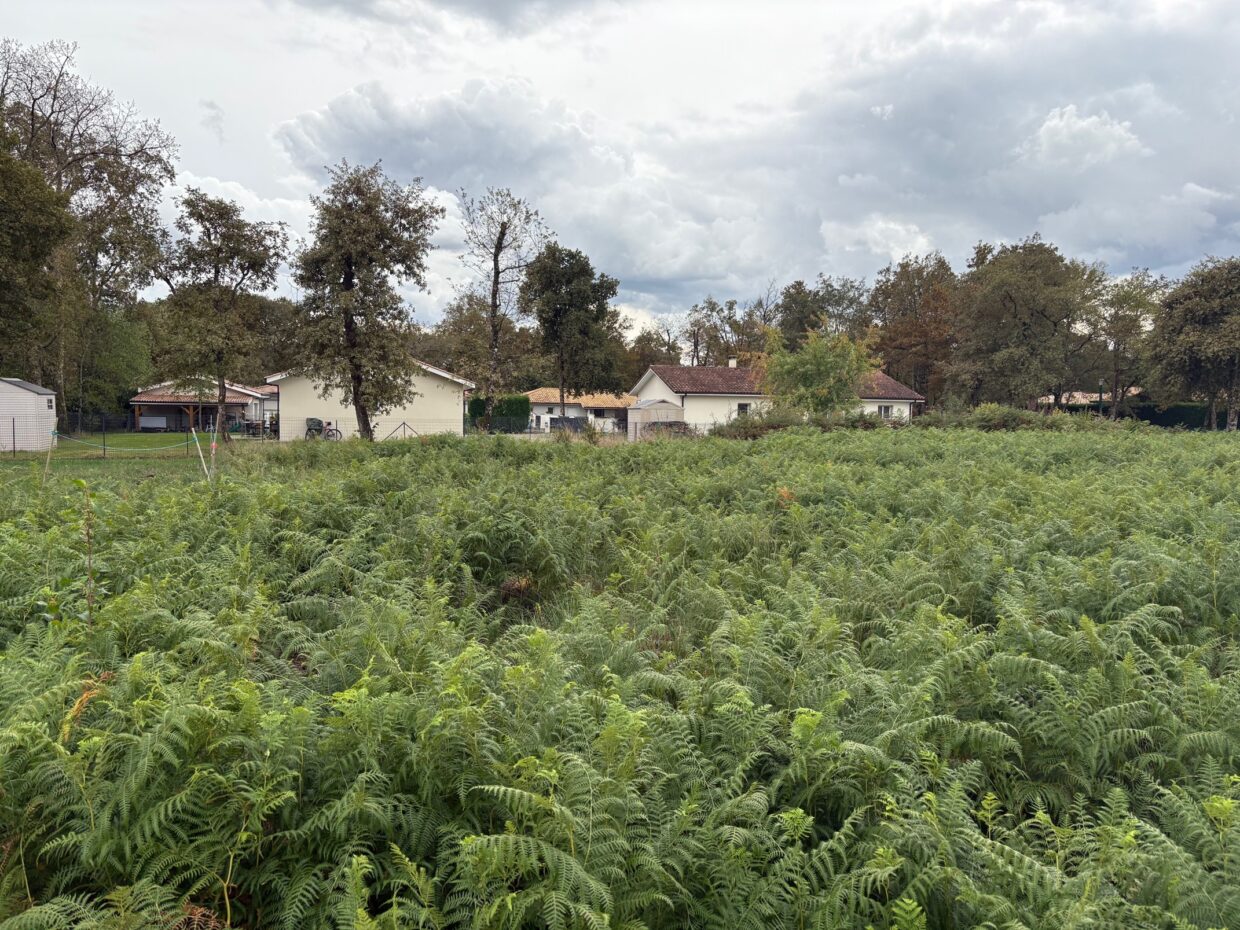 Terrain constructible Bas-mauco  (Landes 40)