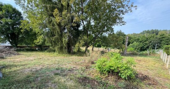 Terrain constructible Bazas  (Gironde 33)