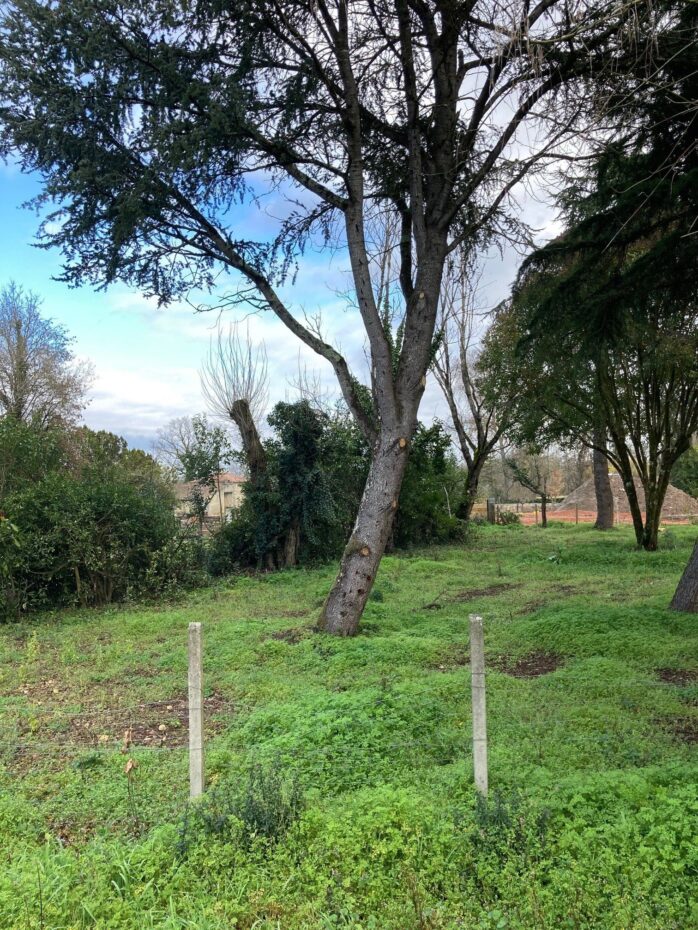 Terrain constructible Vayres  (Gironde 33)
