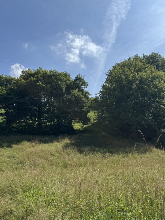 Terrain constructible Lescar  (Pyrénées Atlantiques 64)