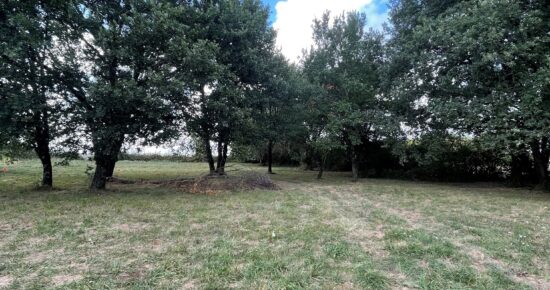Terrain constructible Aubie-et-espessas  (Gironde 33)