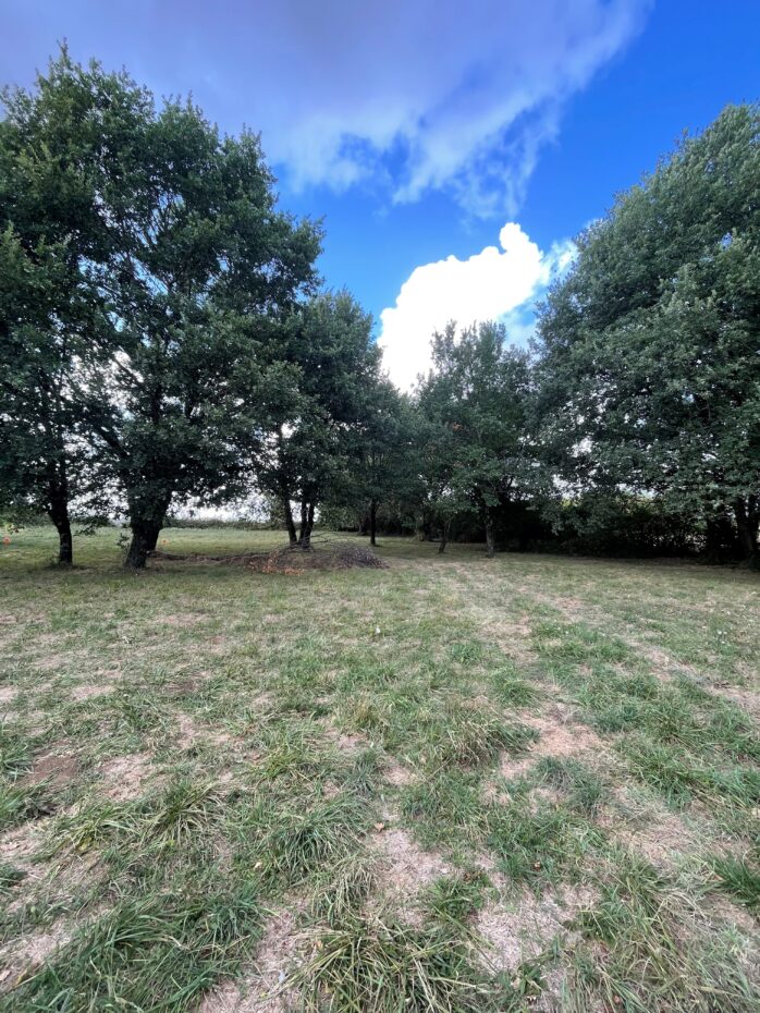 Terrain constructible Aubie-et-espessas  (Gironde 33)