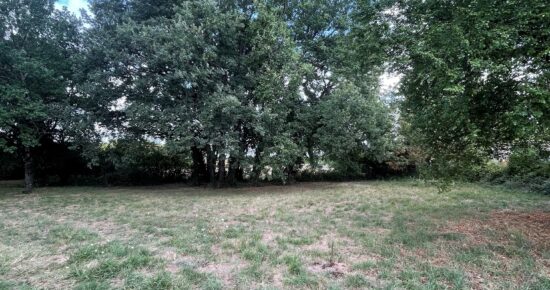 Terrain constructible Aubie-et-espessas  (Gironde 33)