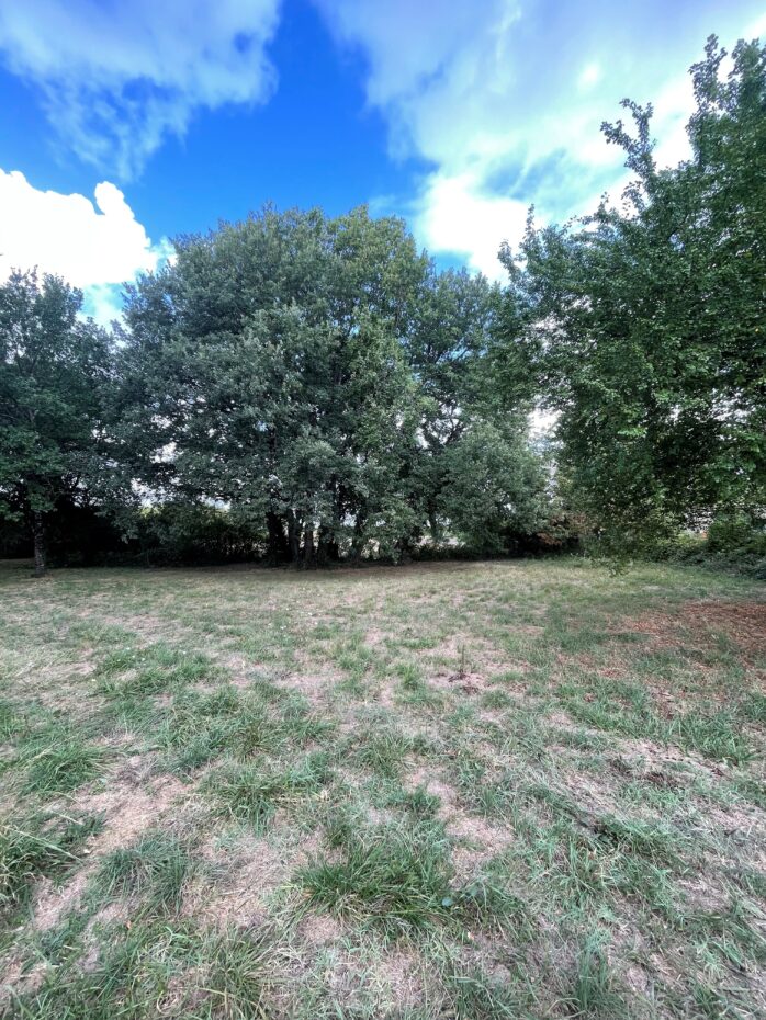 Terrain constructible Aubie-et-espessas  (Gironde 33)