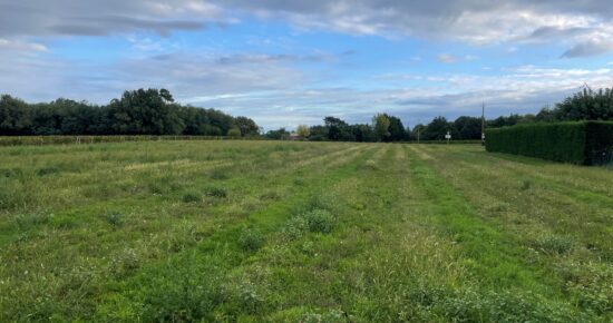 Terrain constructible Périssac  (Gironde 33)