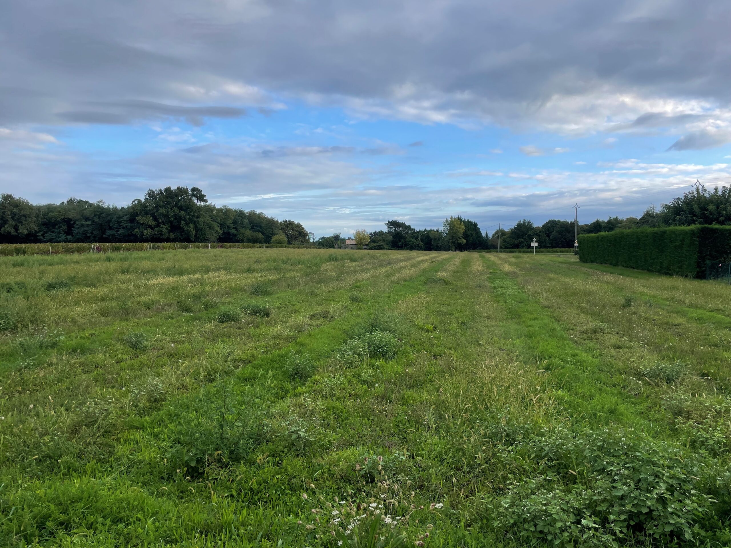 Terrain constructible Périssac  (Gironde 33)