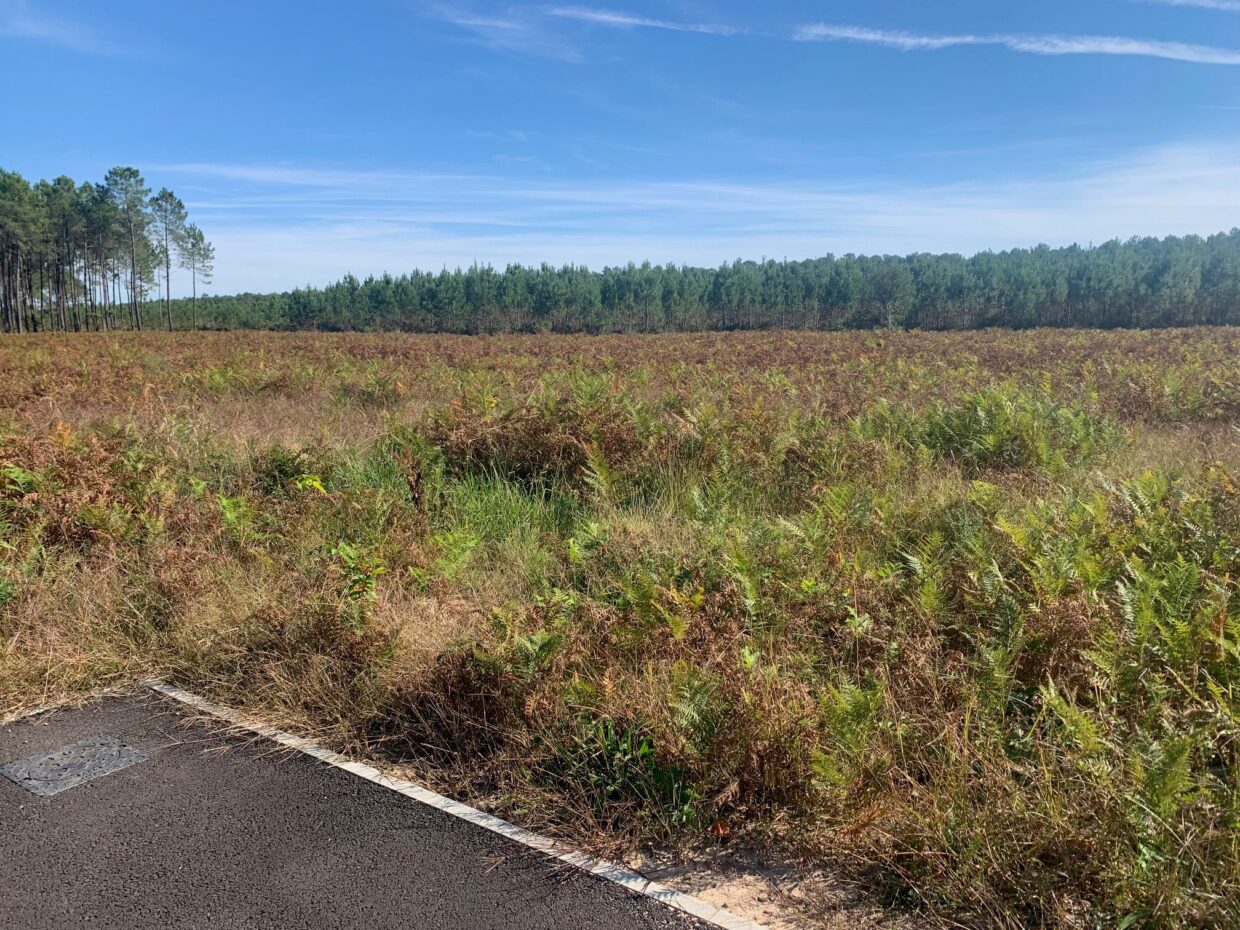 Terrain constructible Lit-et-mixe  (Landes 40)