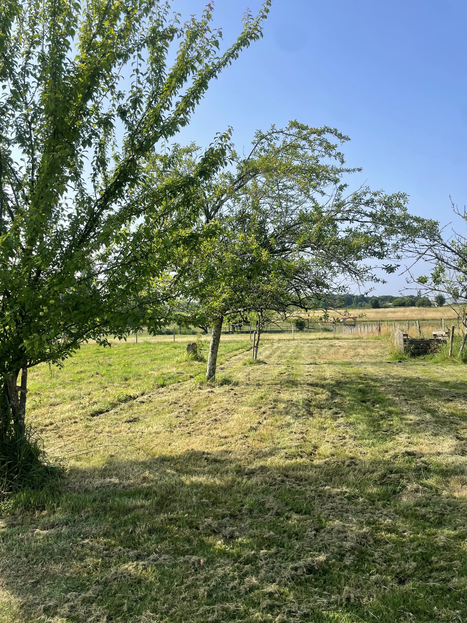 Terrain constructible La lande-de-fronsac  (Gironde 33)
