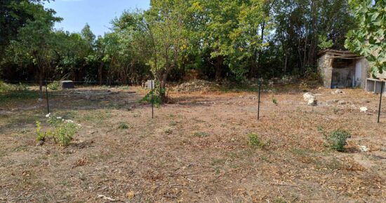 Terrain constructible Andilly  (Charente-Maritime 17)