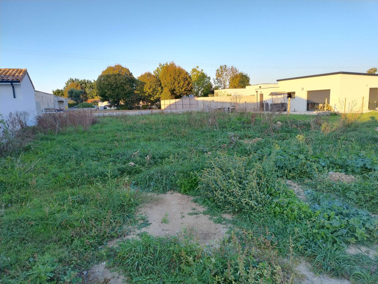Terrain constructible Ciré-d'aunis  (Charente-Maritime 17)