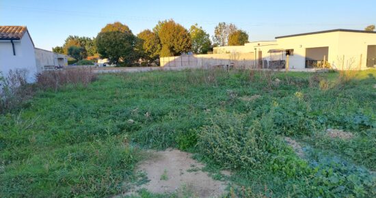 Terrain constructible Ciré-d'aunis  (Charente-Maritime 17)