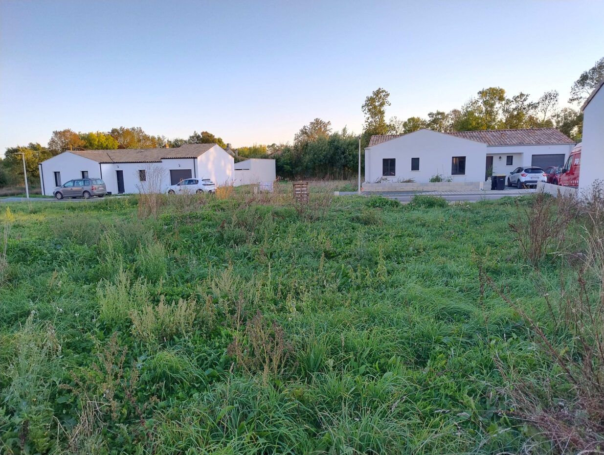 Terrain constructible Ciré-d'aunis  (Charente-Maritime 17)