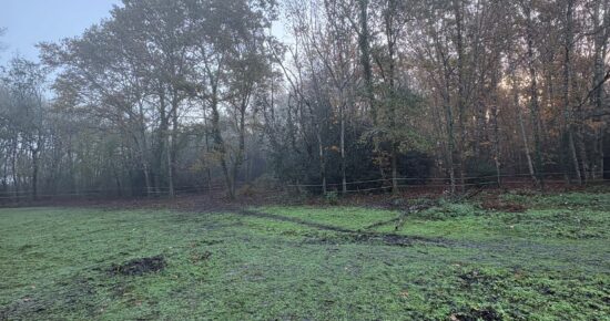 Terrain constructible Canéjan  (Gironde 33)