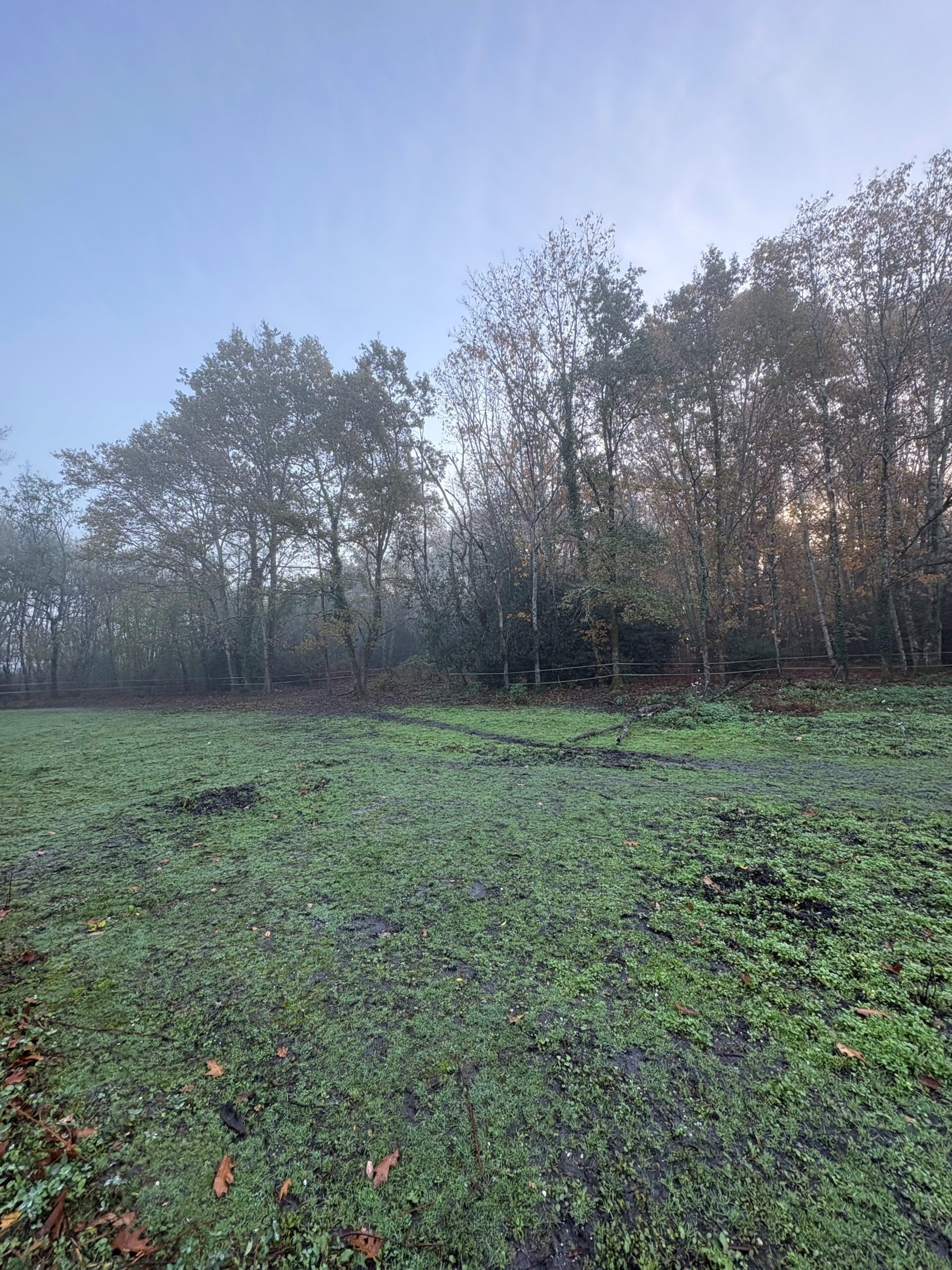 Terrain constructible Canéjan  (Gironde 33)