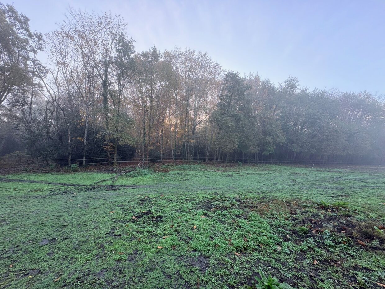 Terrain constructible Canéjan  (Gironde 33)