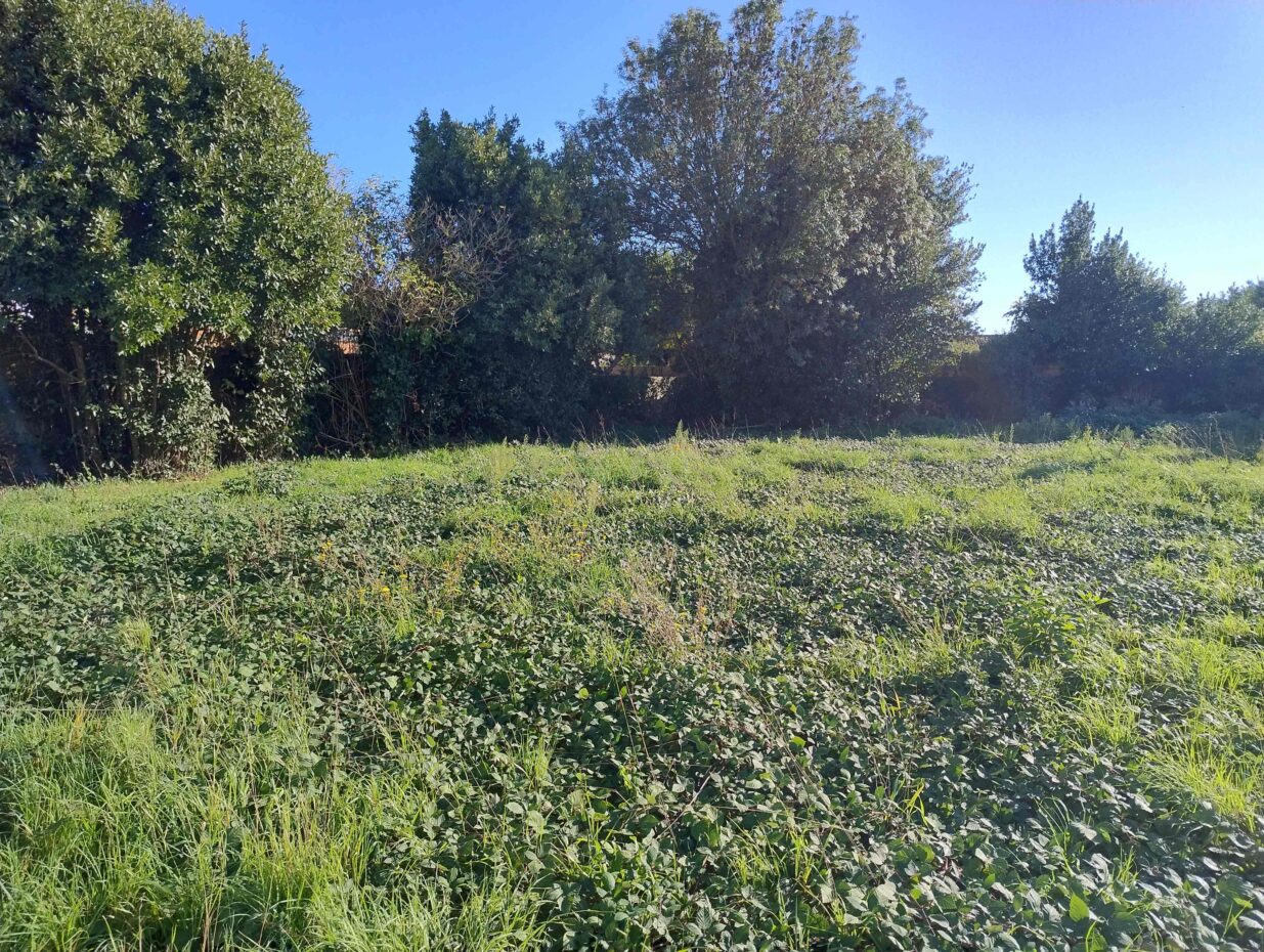 Terrain constructible Dompierre-sur-mer  (Charente-Maritime 17)