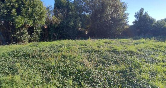 Terrain constructible Dompierre-sur-mer  (Charente-Maritime 17)