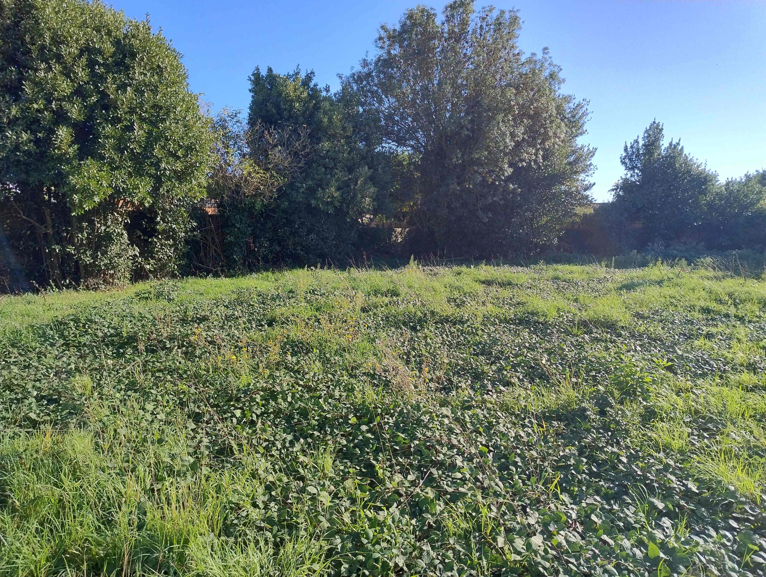 Terrain constructible Dompierre-sur-mer  (Charente-Maritime 17)