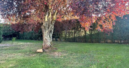 Terrain constructible Saint-andré-de-cubzac  (Gironde 33)