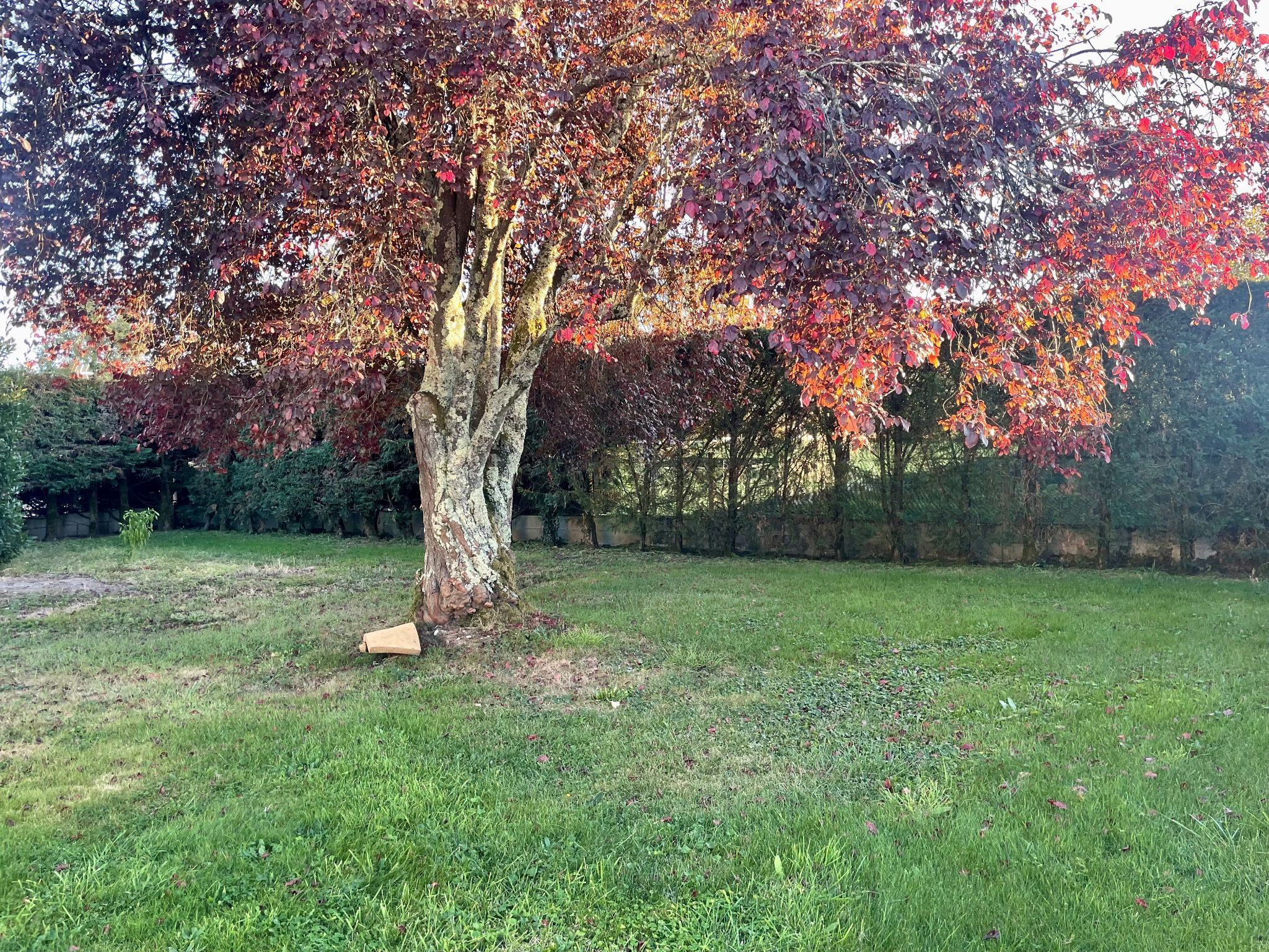 Terrain constructible Saint-andré-de-cubzac  (Gironde 33)