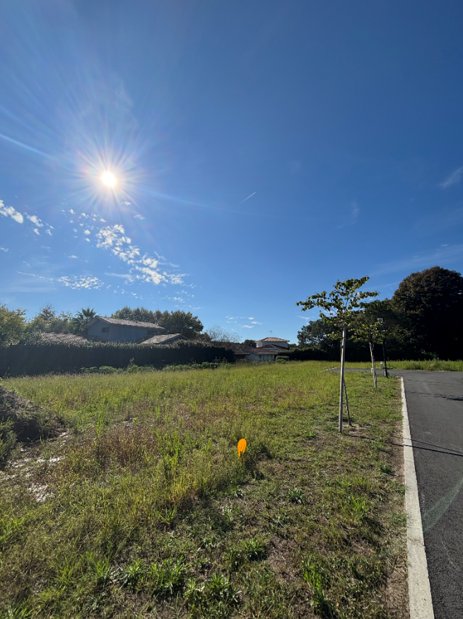 Terrain constructible Tosse  (Landes 40)