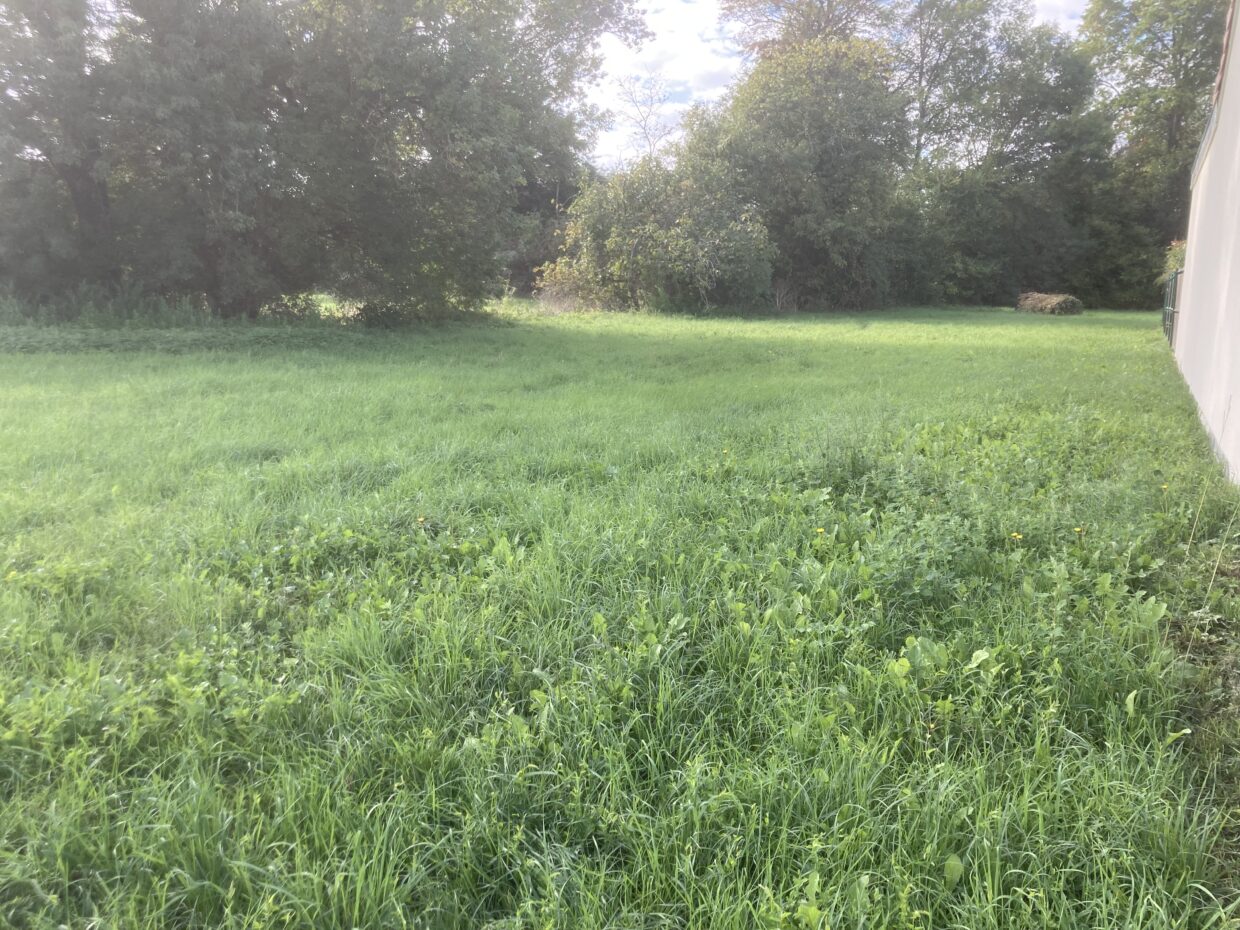 Terrain constructible Saint-loubès  (Gironde 33)