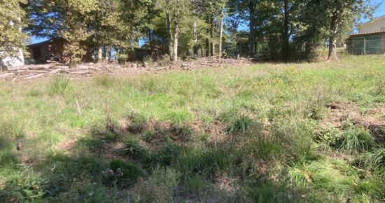 Terrain constructible Le pout  (Gironde 33)