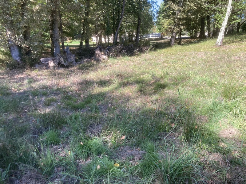 Terrain constructible Le pout  (Gironde 33)