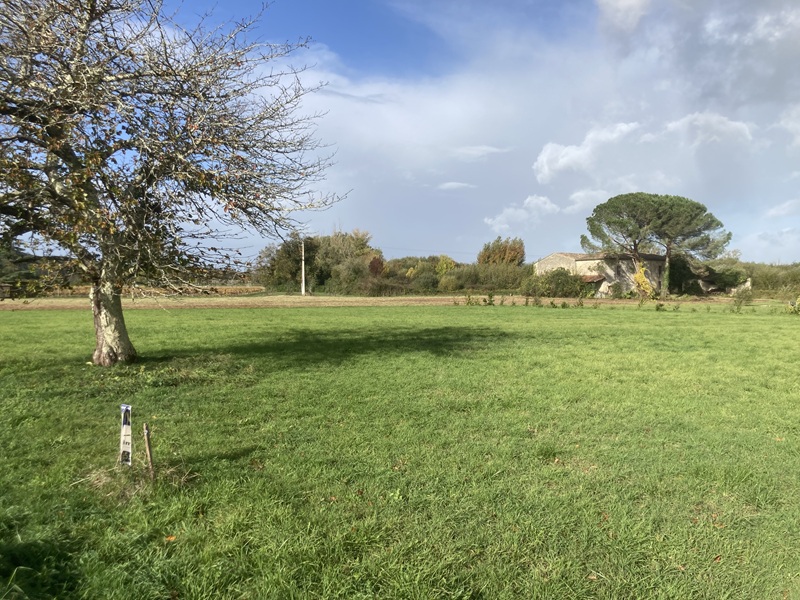 Terrain constructible Sainte-florence  (Gironde 33)