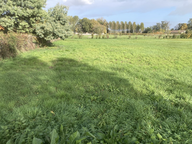 Terrain constructible Sainte-florence  (Gironde 33)