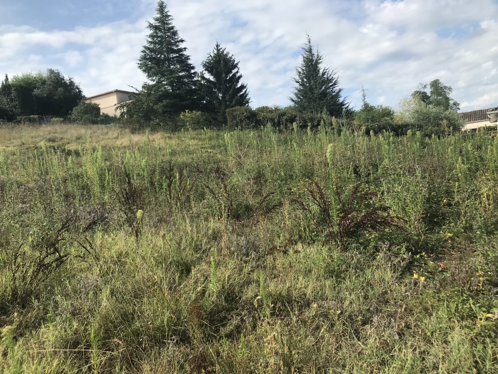 Terrain constructible Langon  (Gironde 33)