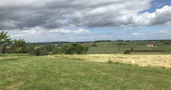 Terrain constructible Saint-andré-du-bois  (Gironde 33)