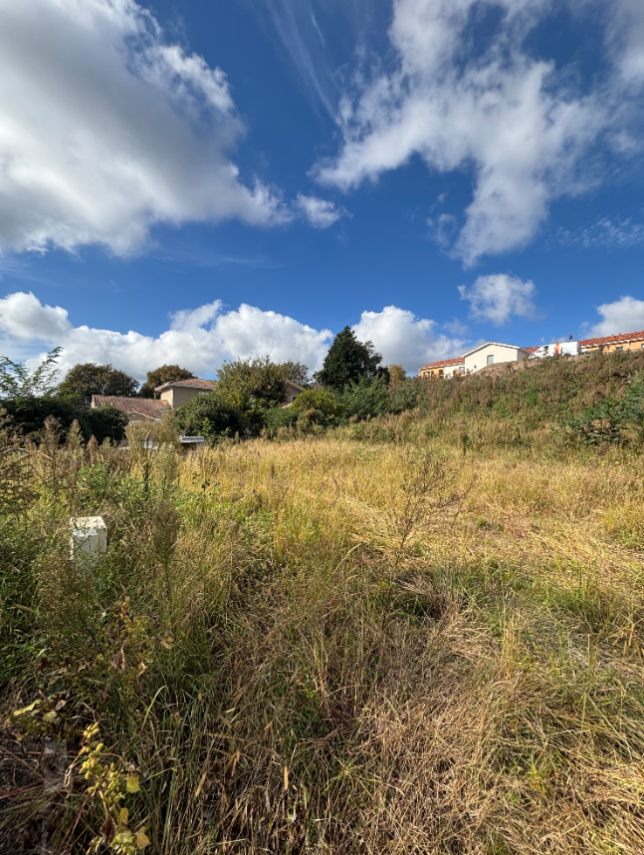 Maison avec terrain Saint-vincent-de-tyrosse  (Landes 40)