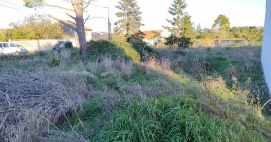 Terrain constructible Le thou  (Charente-Maritime 17)