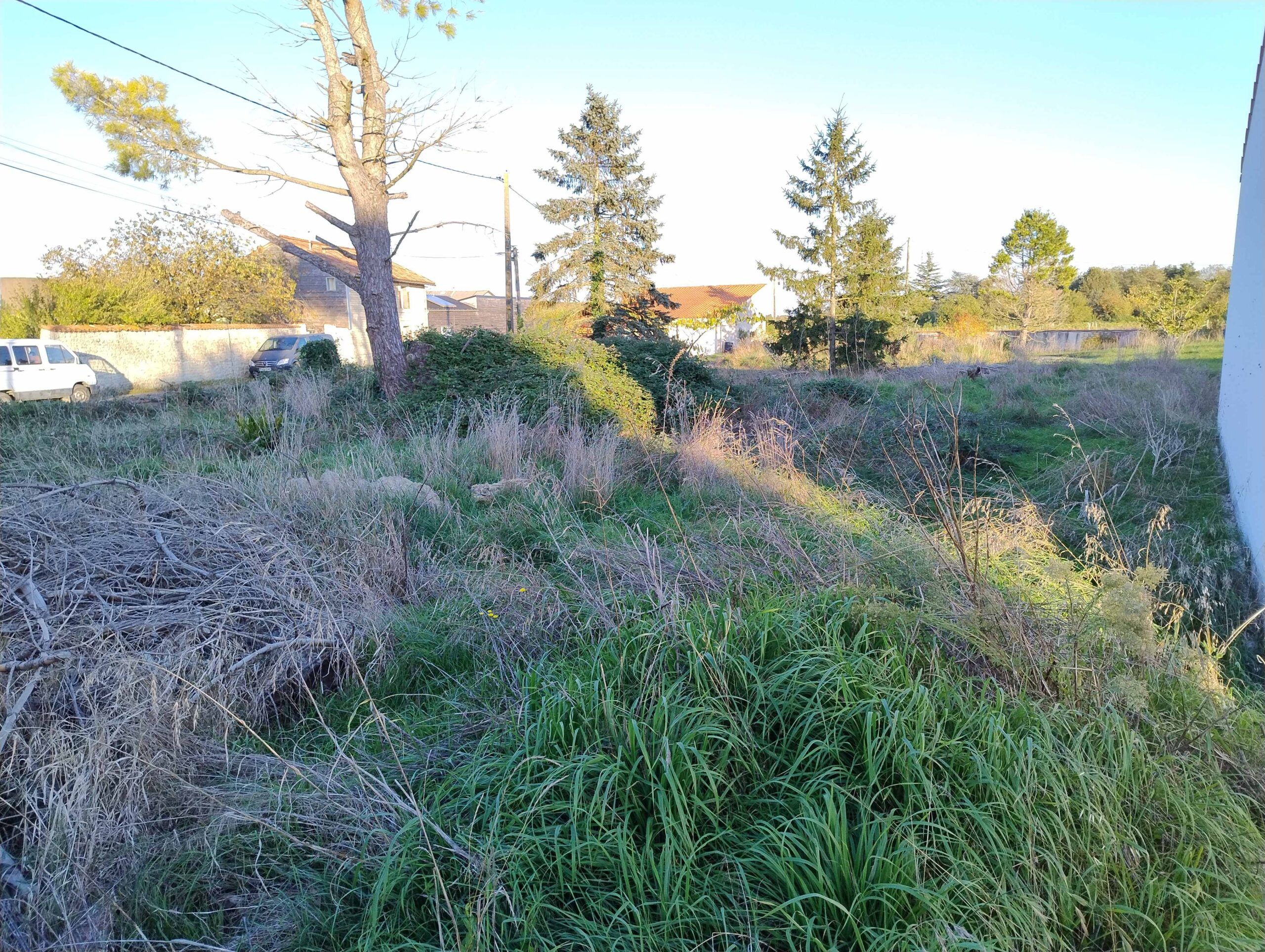 Terrain constructible Le thou  (Charente-Maritime 17)