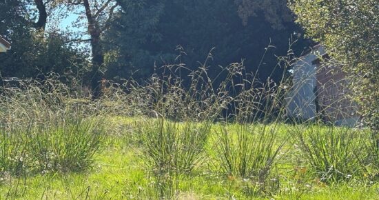 Terrain constructible Bretagne-de-marsan  (Landes 40)