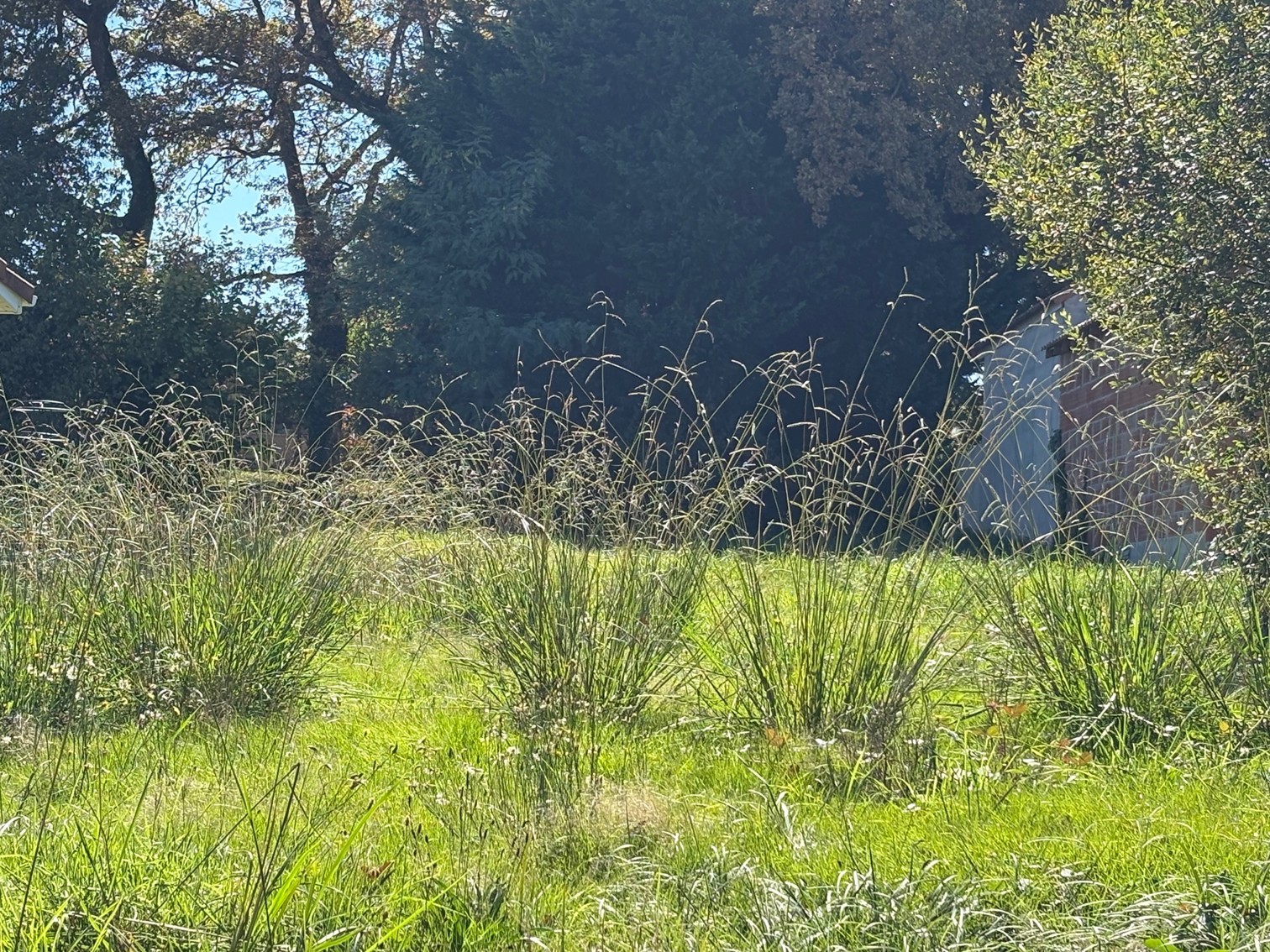 Terrain constructible Bretagne-de-marsan  (Landes 40)