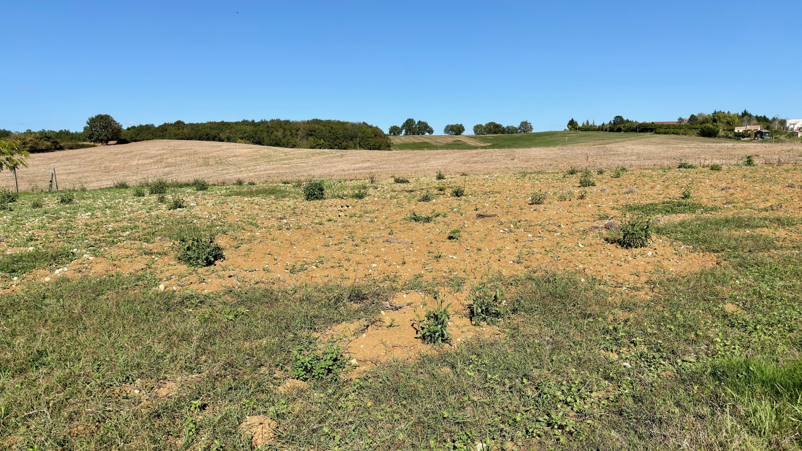 Terrain constructible Castella  (Lot et Garonne 47)