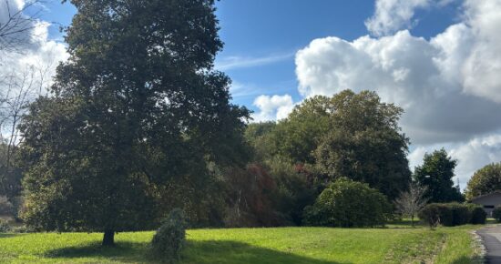 Terrain constructible Seignosse  (Landes 40)