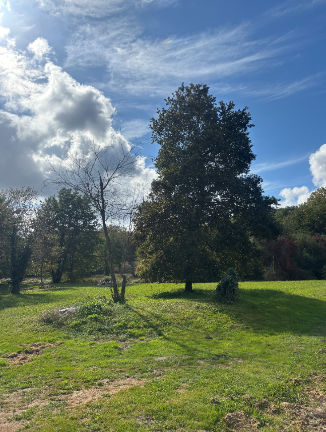Terrain constructible Seignosse  (Landes 40)